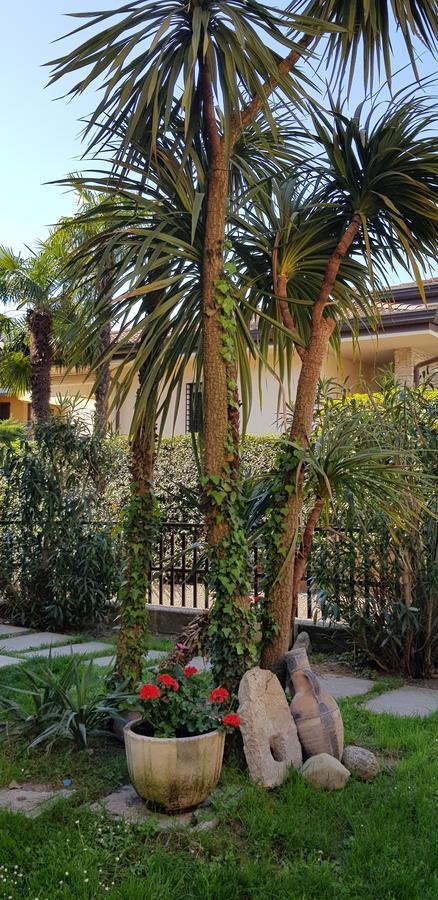 מלון דסנזאנו דל גארדה La Casa Di Rivo מראה חיצוני תמונה